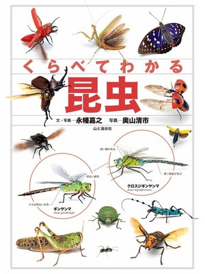 cover image of くらべてわかる 昆虫